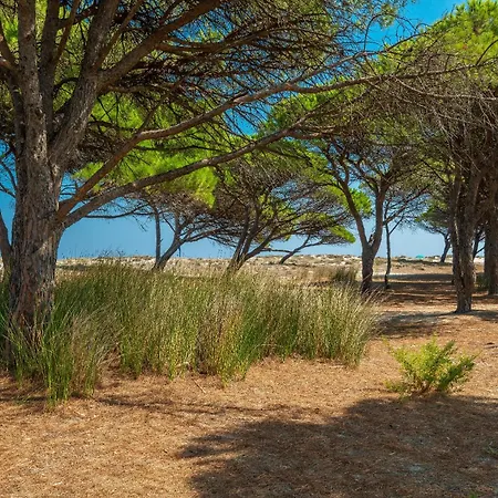 Charming Le Dimore Di 2 Bedroom T6 Budoni